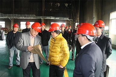 2012年1月31日，時任嘉興市委書記魯俊率領(lǐng)市發(fā)改委等市級部門負責人到公司調(diào)研
