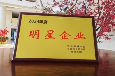 新春新景新氣象 | 景興紙業(yè)在平湖三干大會上喜摘榮譽！